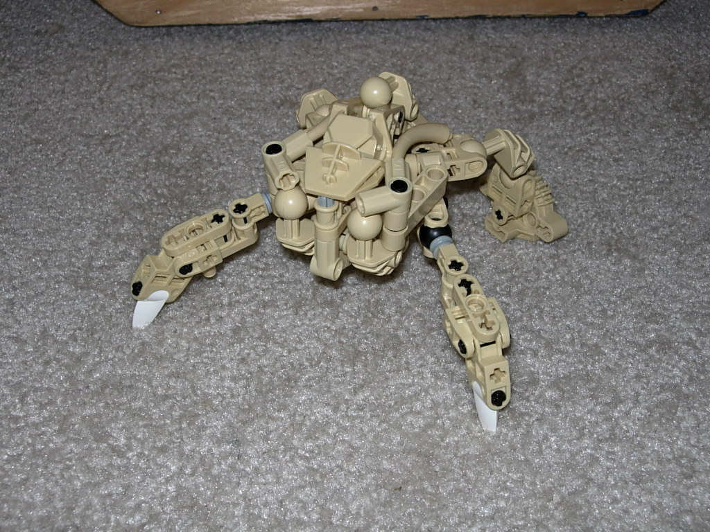 0.jpg