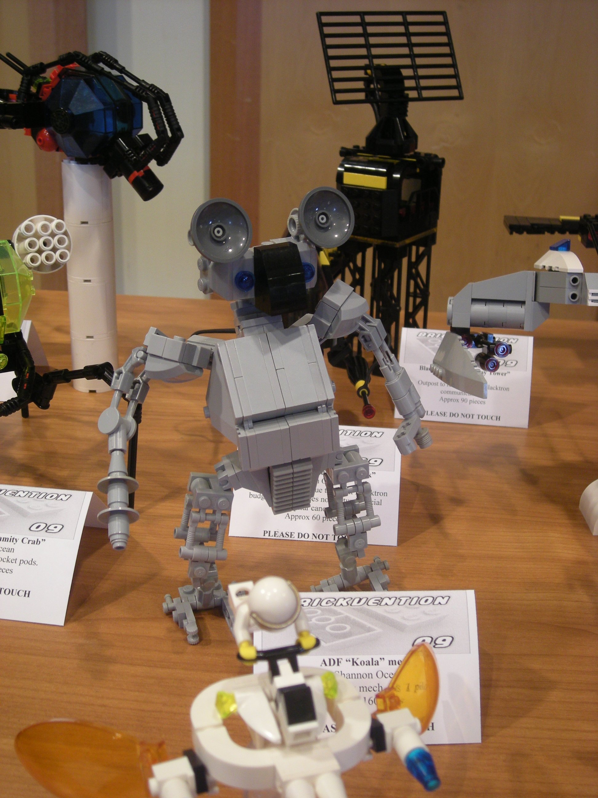 dscn5446.jpg