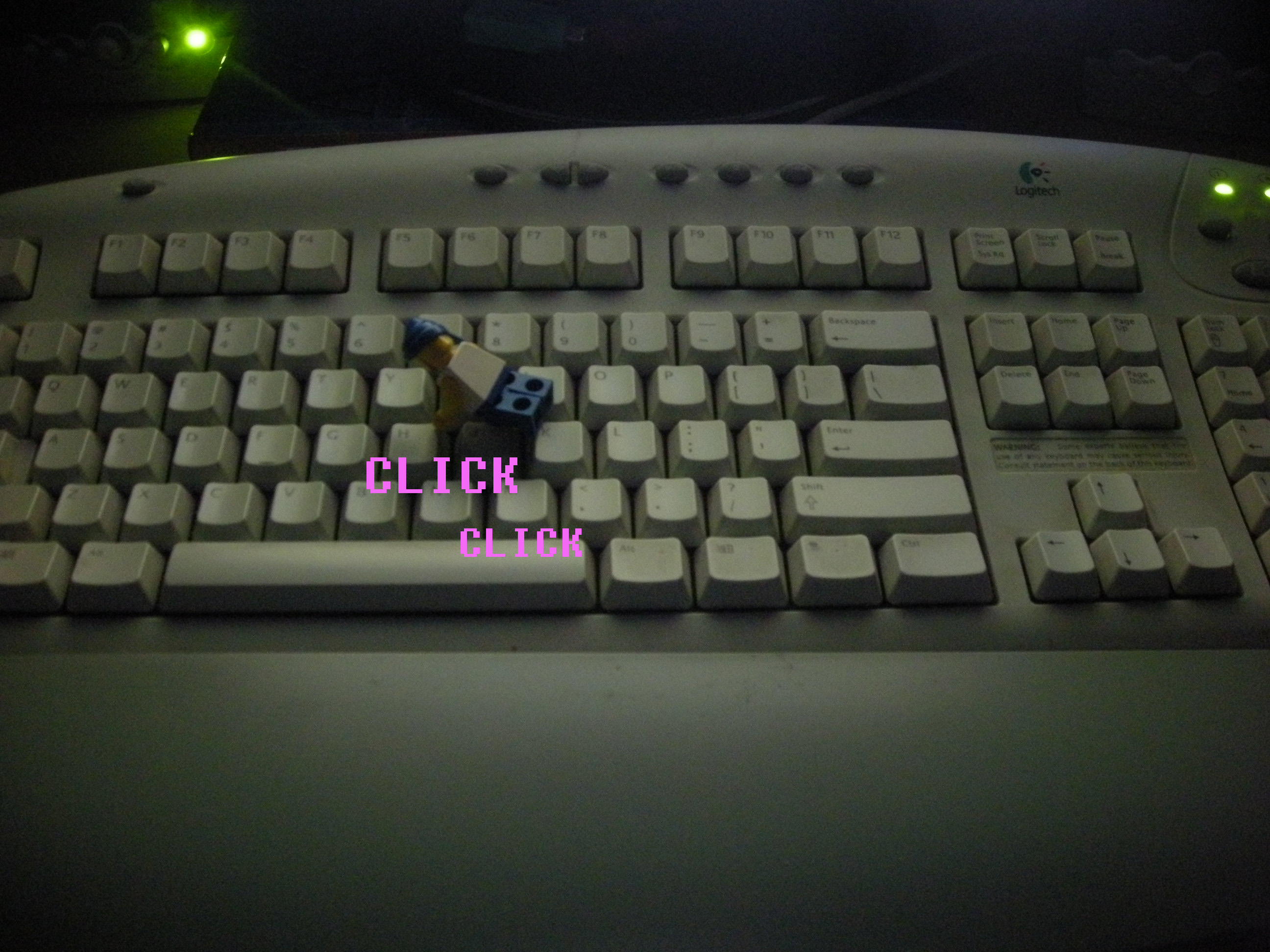 dscn2954.jpg