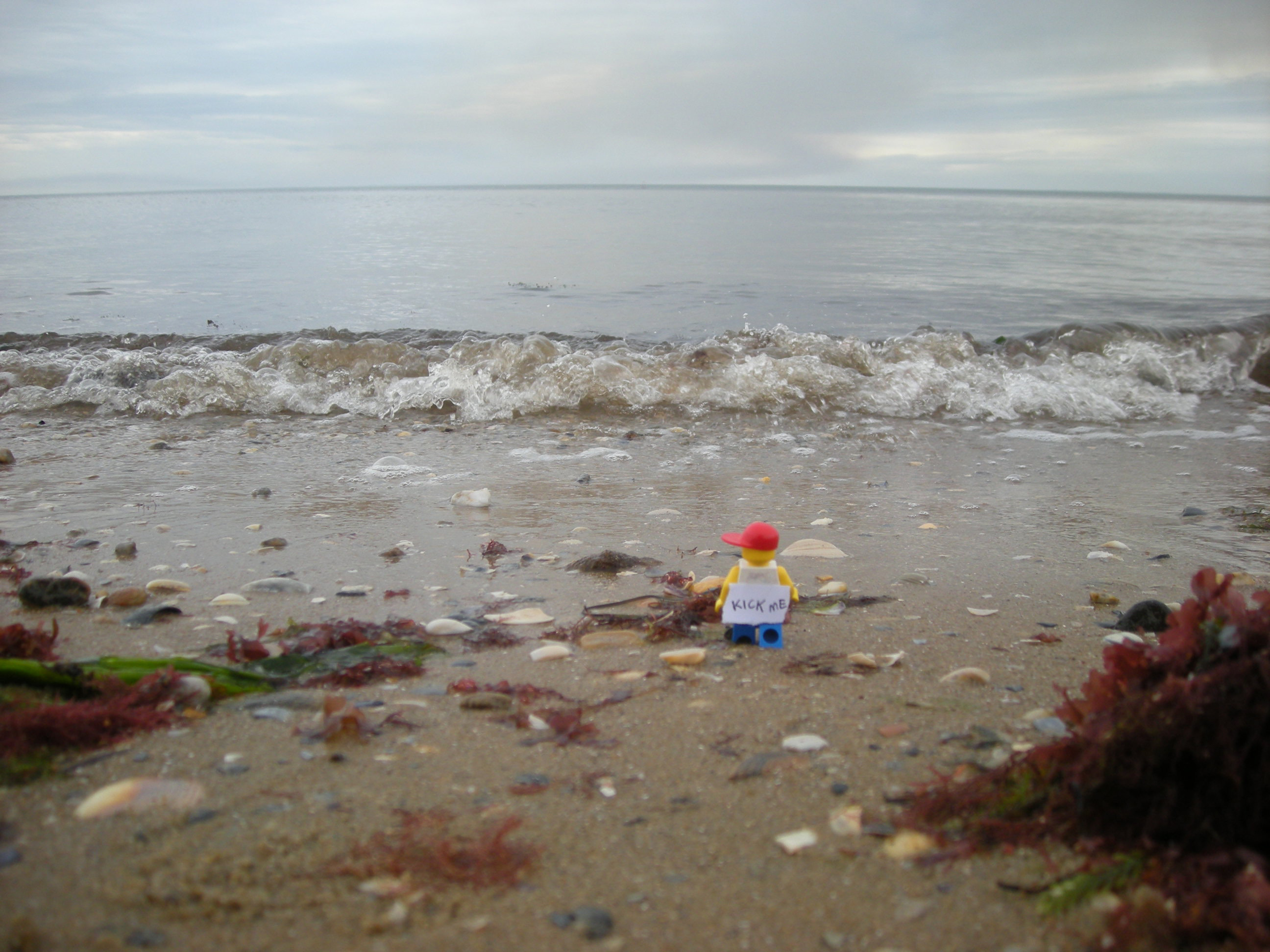 dscn3271.jpg