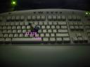 dscn2954.jpg