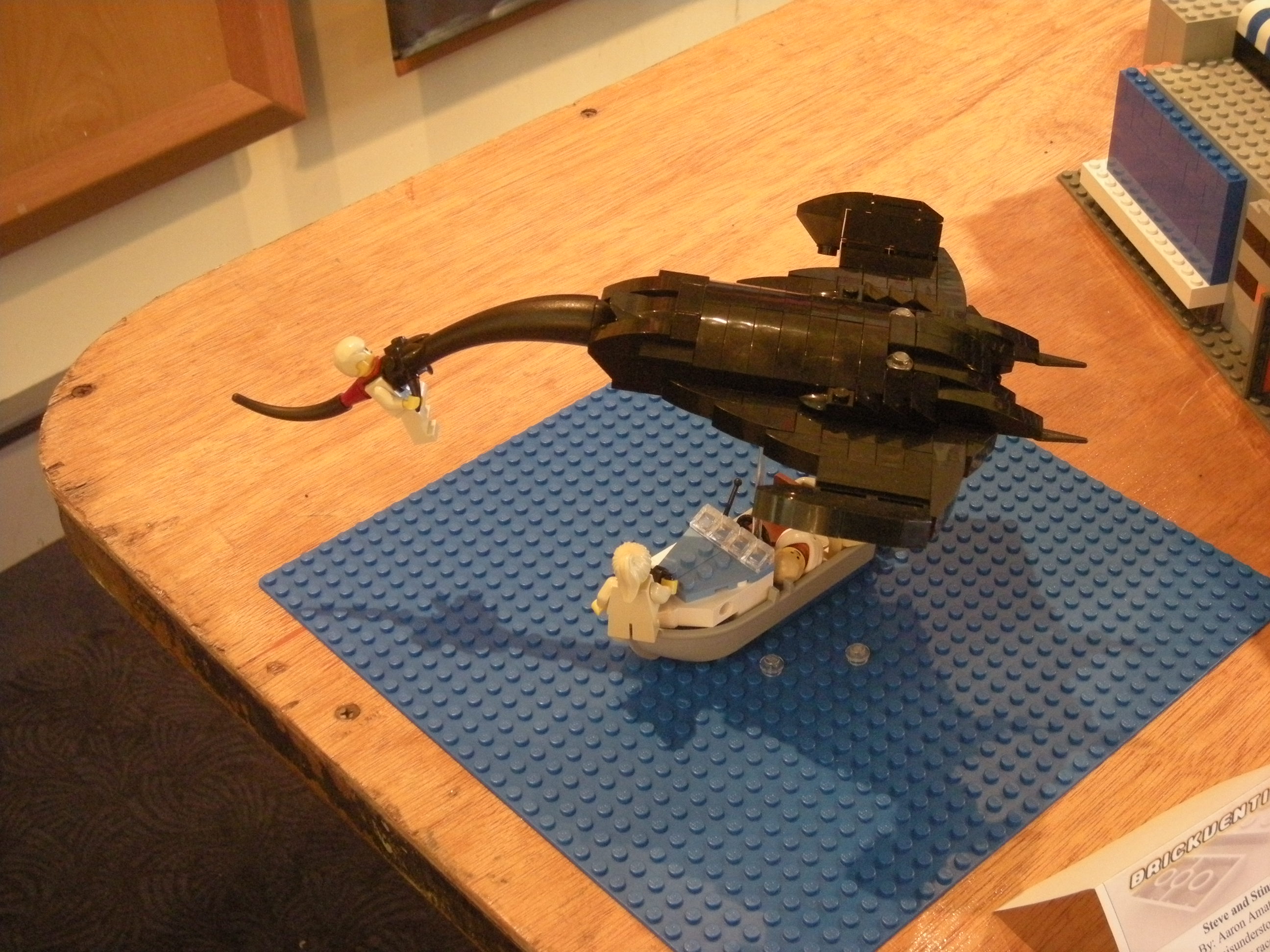 dscn5560.jpg