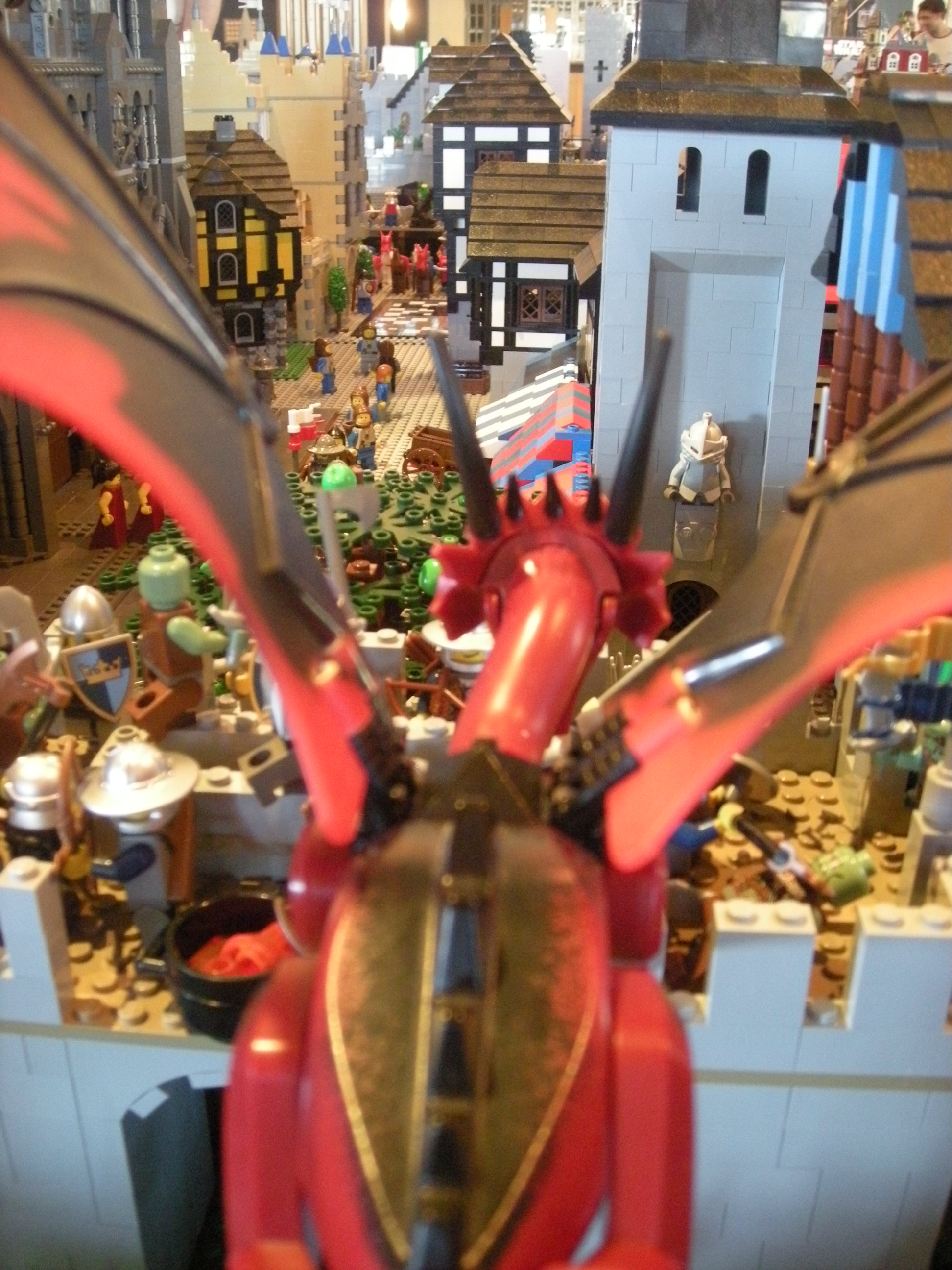 dscn5630.jpg