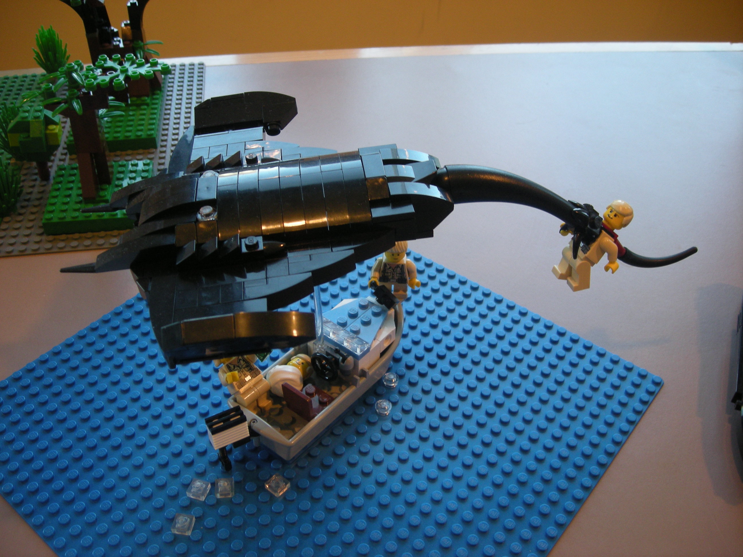 dscn5639.jpg
