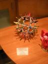 dscn5596.jpg