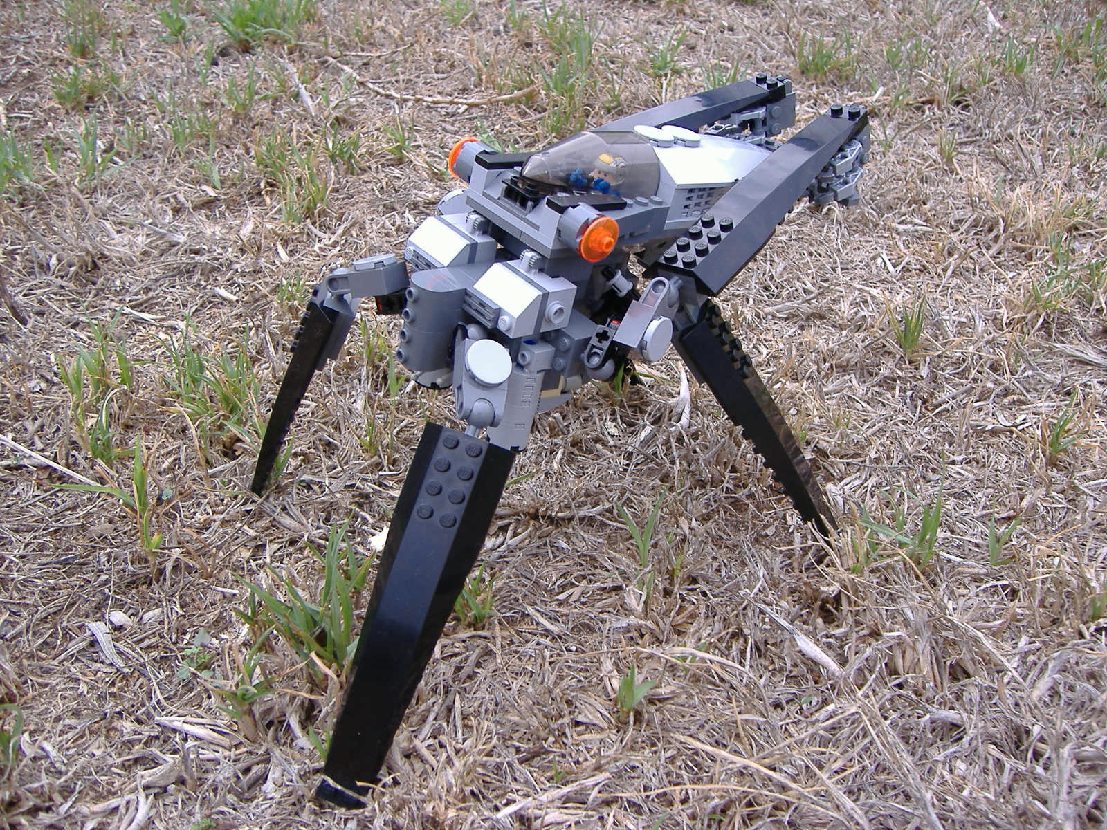 2007_0303lego30160.jpg