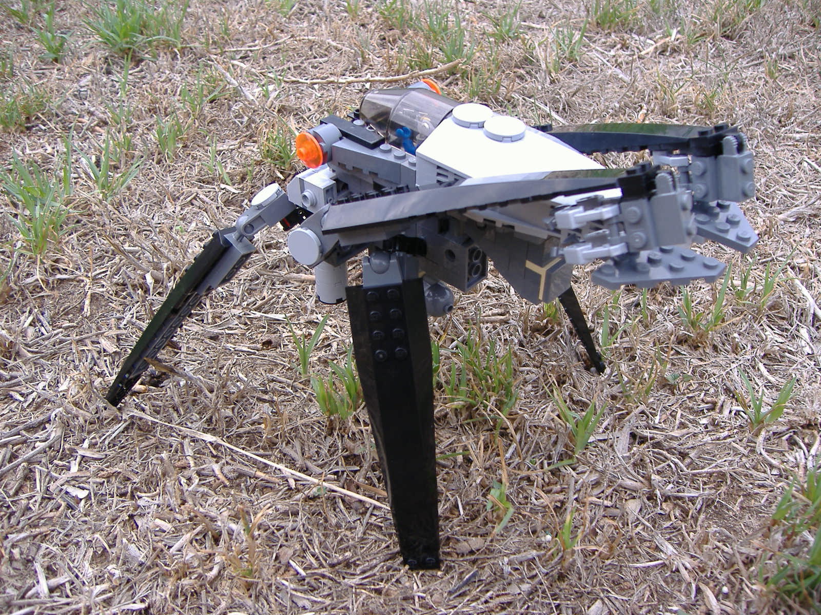 2007_0303lego30164.jpg