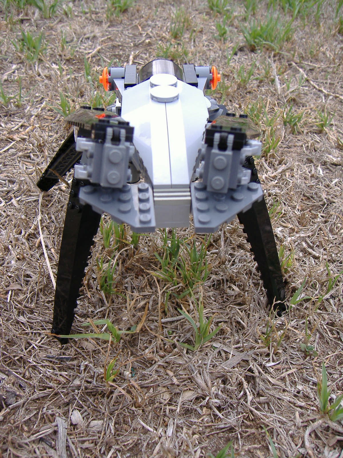2007_0303lego30165.jpg