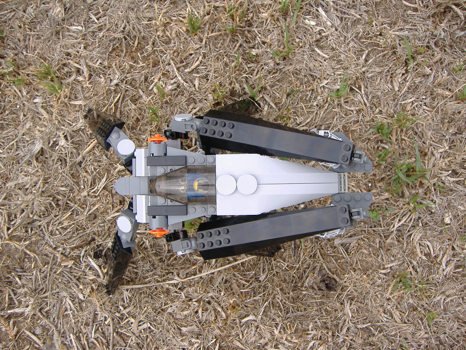 2007_0303lego30166.jpg