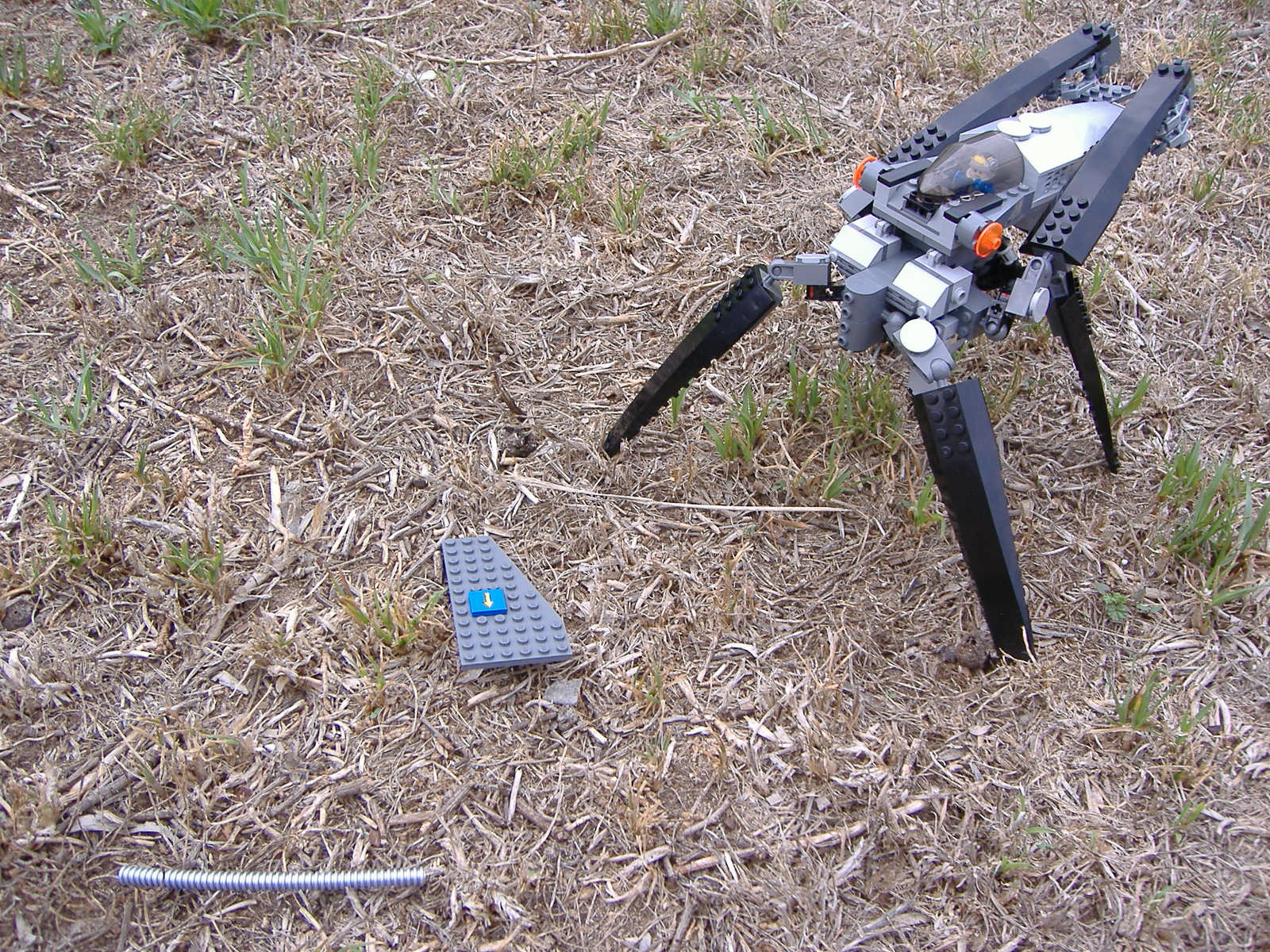 2007_0303lego30167.jpg