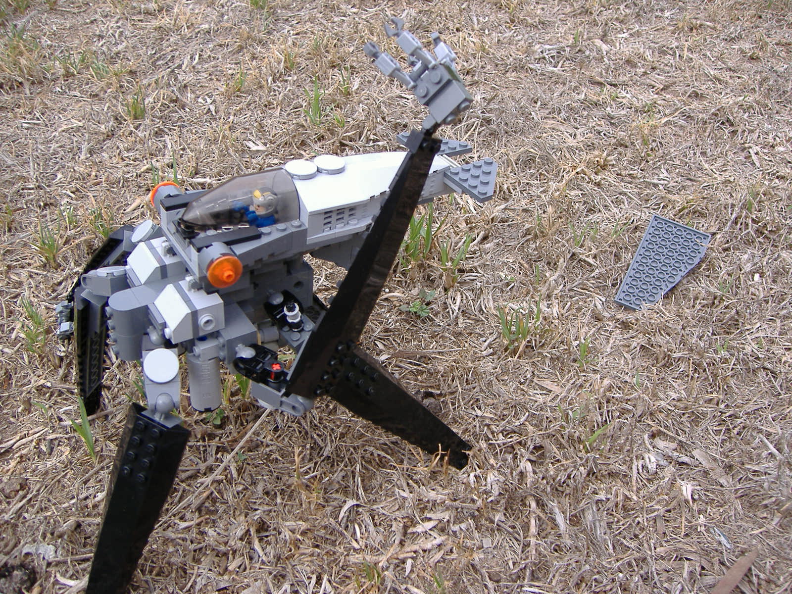 2007_0303lego30172.jpg