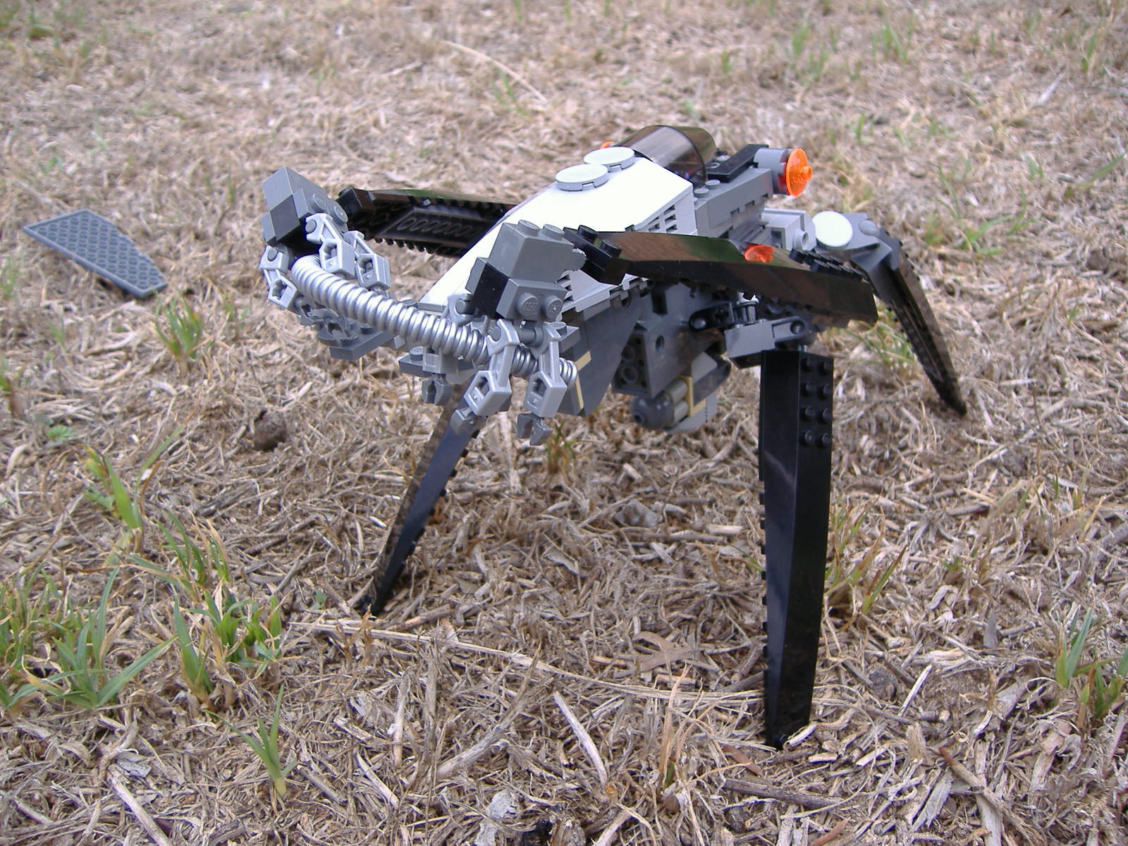 2007_0303lego30175.jpg
