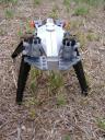2007_0303lego30165.jpg