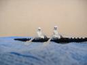 2007_0325lego50083.jpg