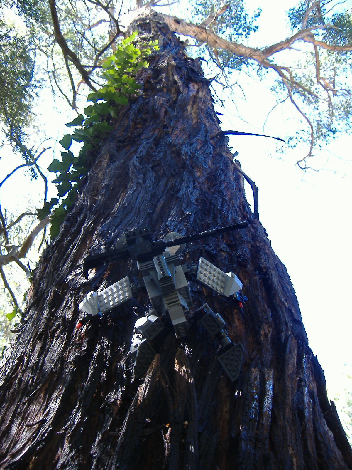2007_0326lego50109.jpg