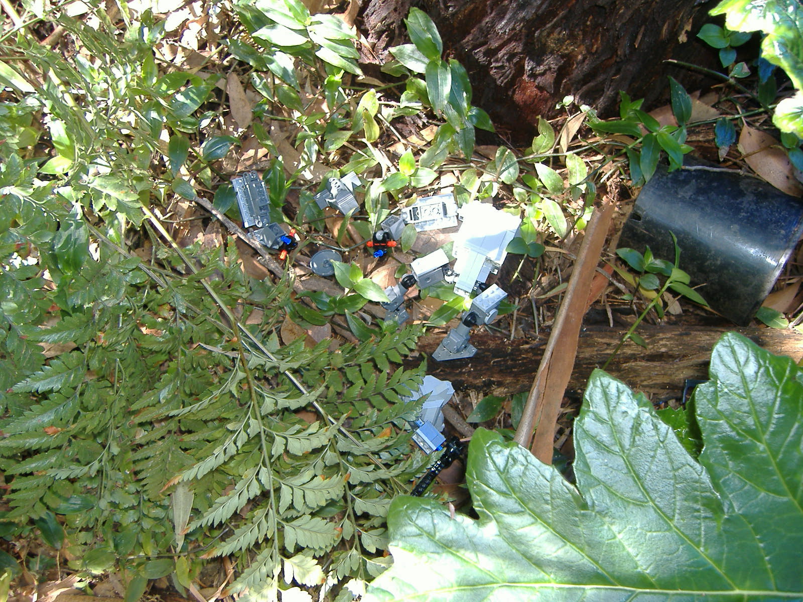 2007_0326lego50111.jpg
