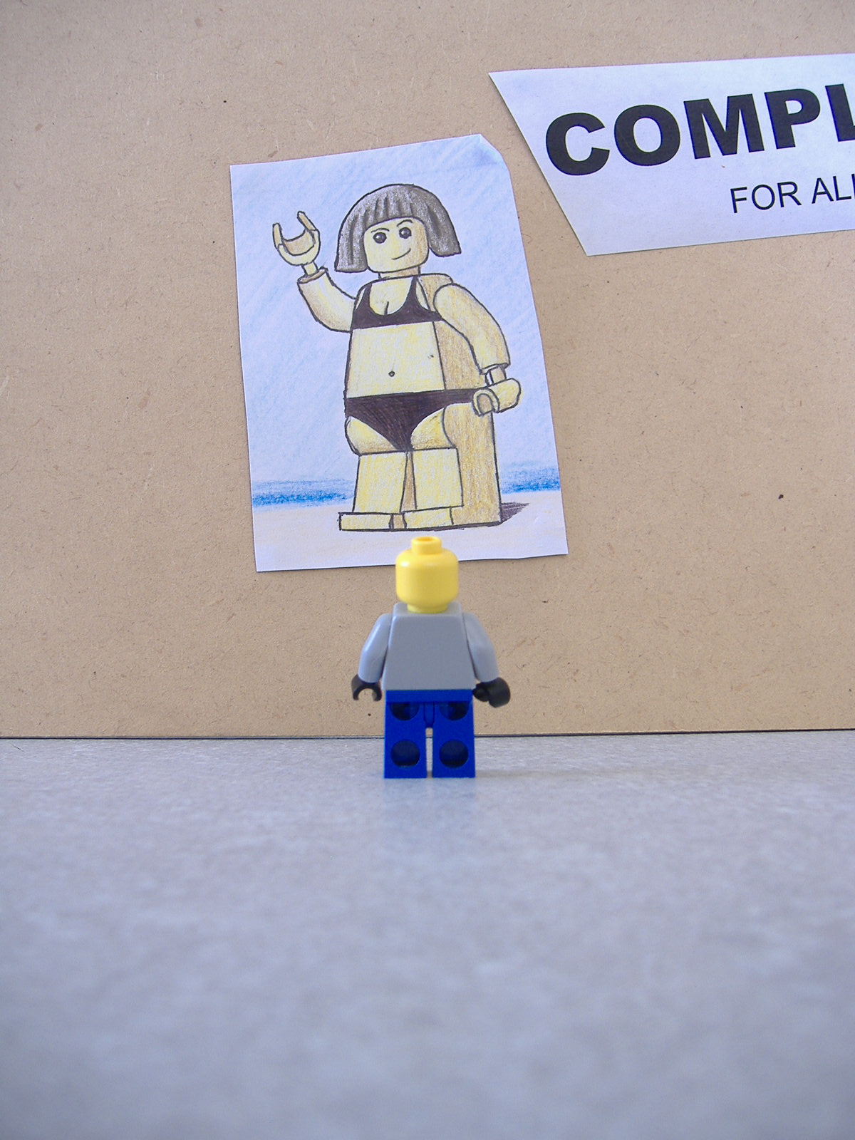 2007_0325lego50075.jpg