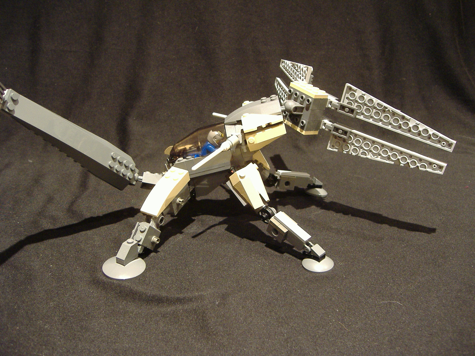 2007_0603new0082.jpg