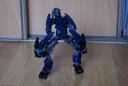 dsc01453.jpg