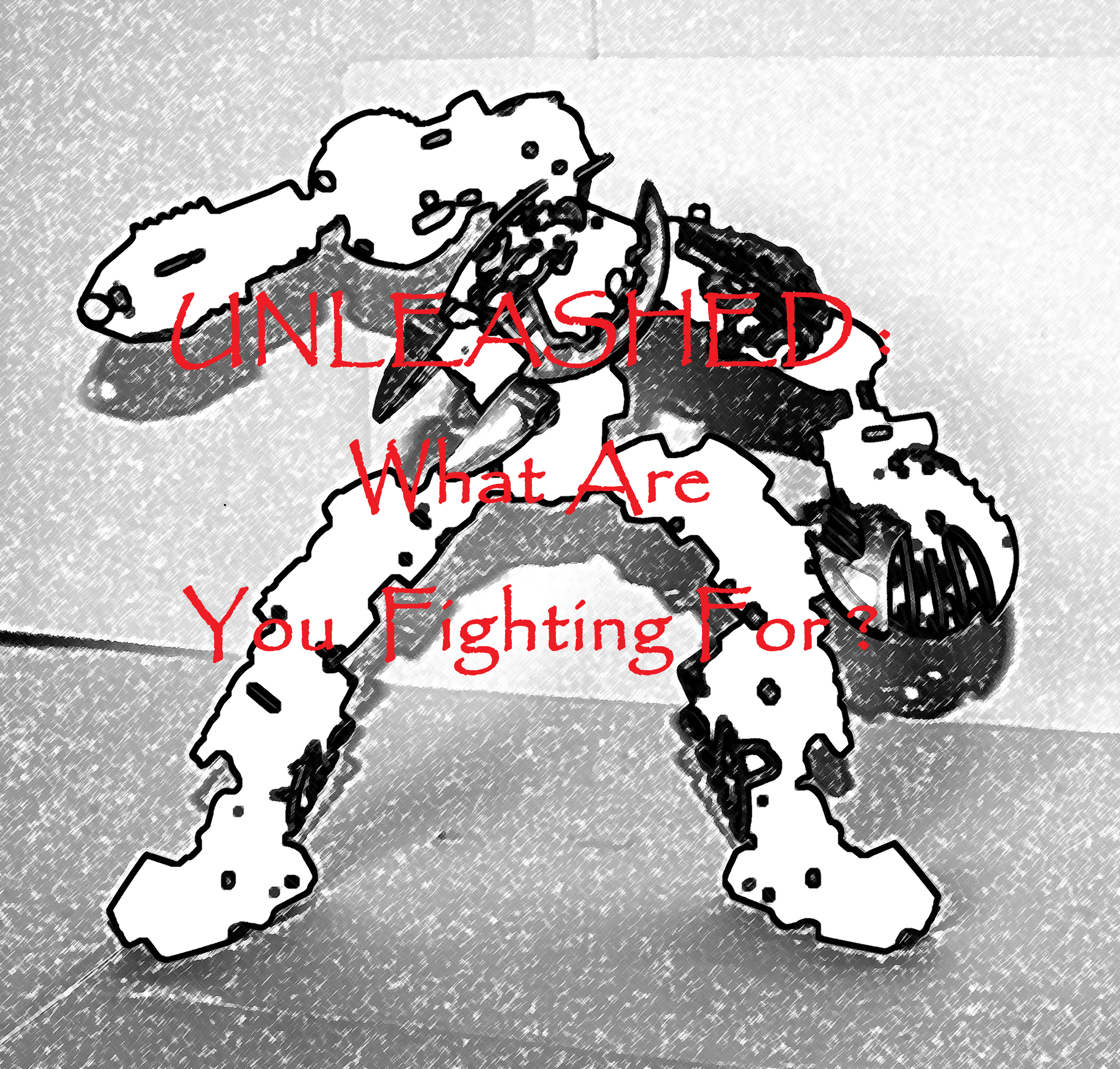 unleashed__what_are_you_fighting_for.jpg