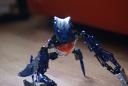 dsc00159.jpg