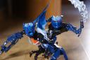 dsc00176.jpg