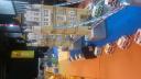nortebrick2013-12.jpg