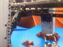 trenbrick2013-11.jpg