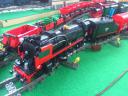trenbrick2013-43.jpg