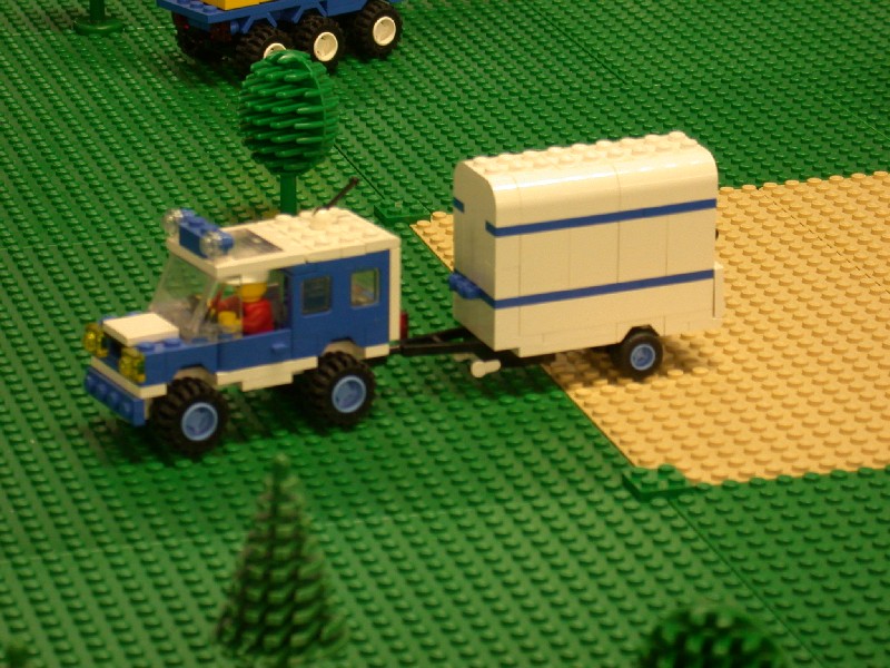 horse_in_transit.jpg