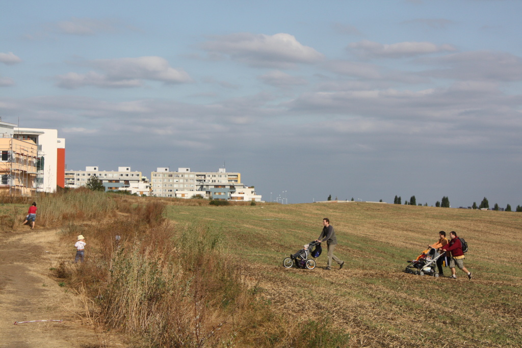 img_6945.jpg