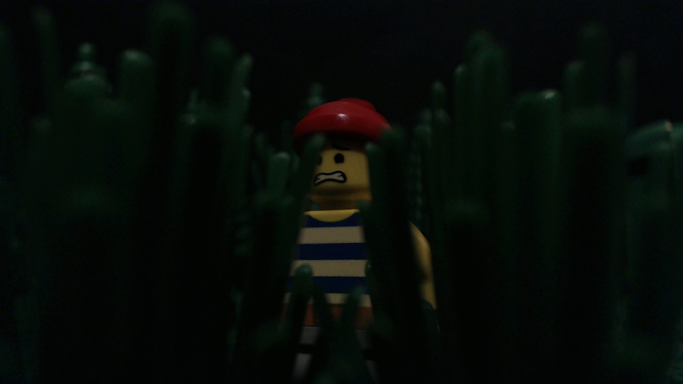picture_17412.jpg