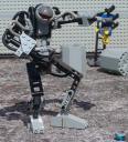 Brawnbot
