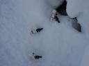 dsc01399s.jpg
