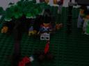 dsc00085s.jpg