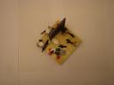 dsc09925s.jpg
