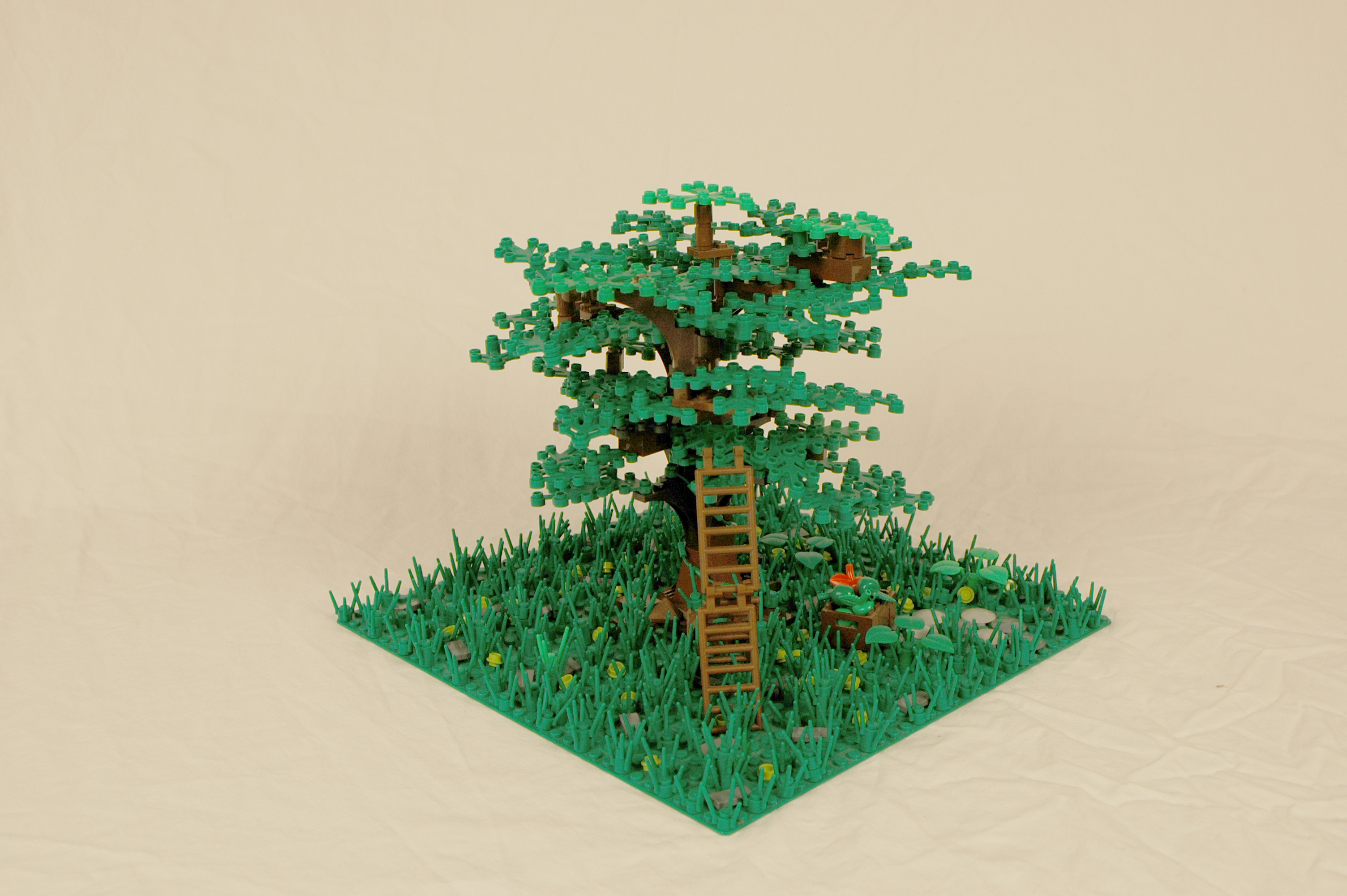 baum2.jpg