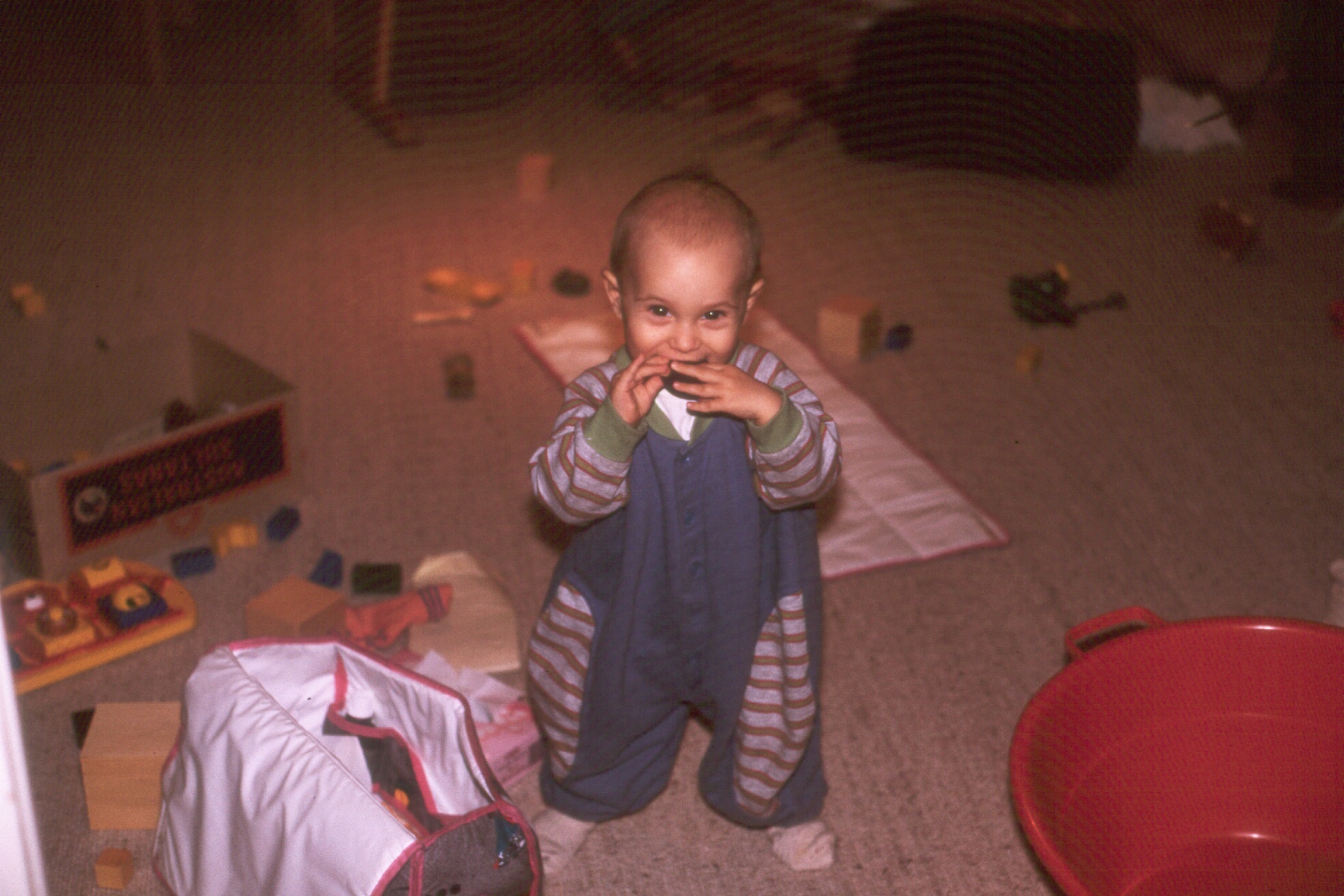 sb91_051.jpg