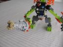 img_7528_medium.jpg