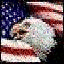 usaavatar.gif
