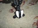 cimg2599.jpg
