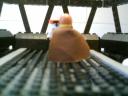 imag0761.jpg