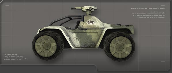 ocelot.jpg