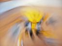 22007lego_065.jpg
