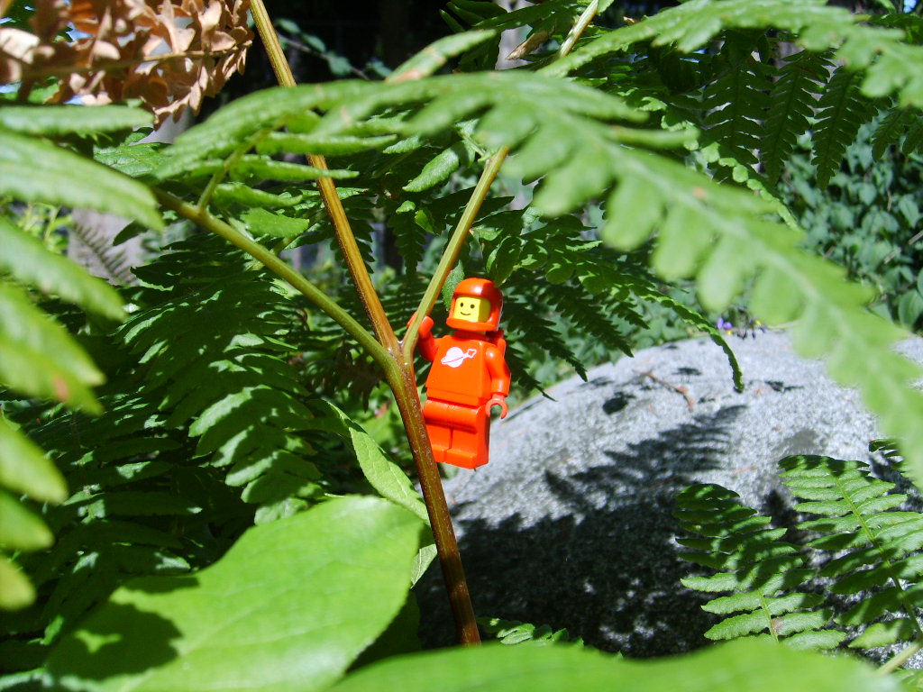 hanging_around.jpg