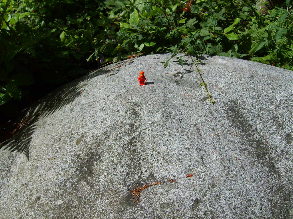 rock.jpg