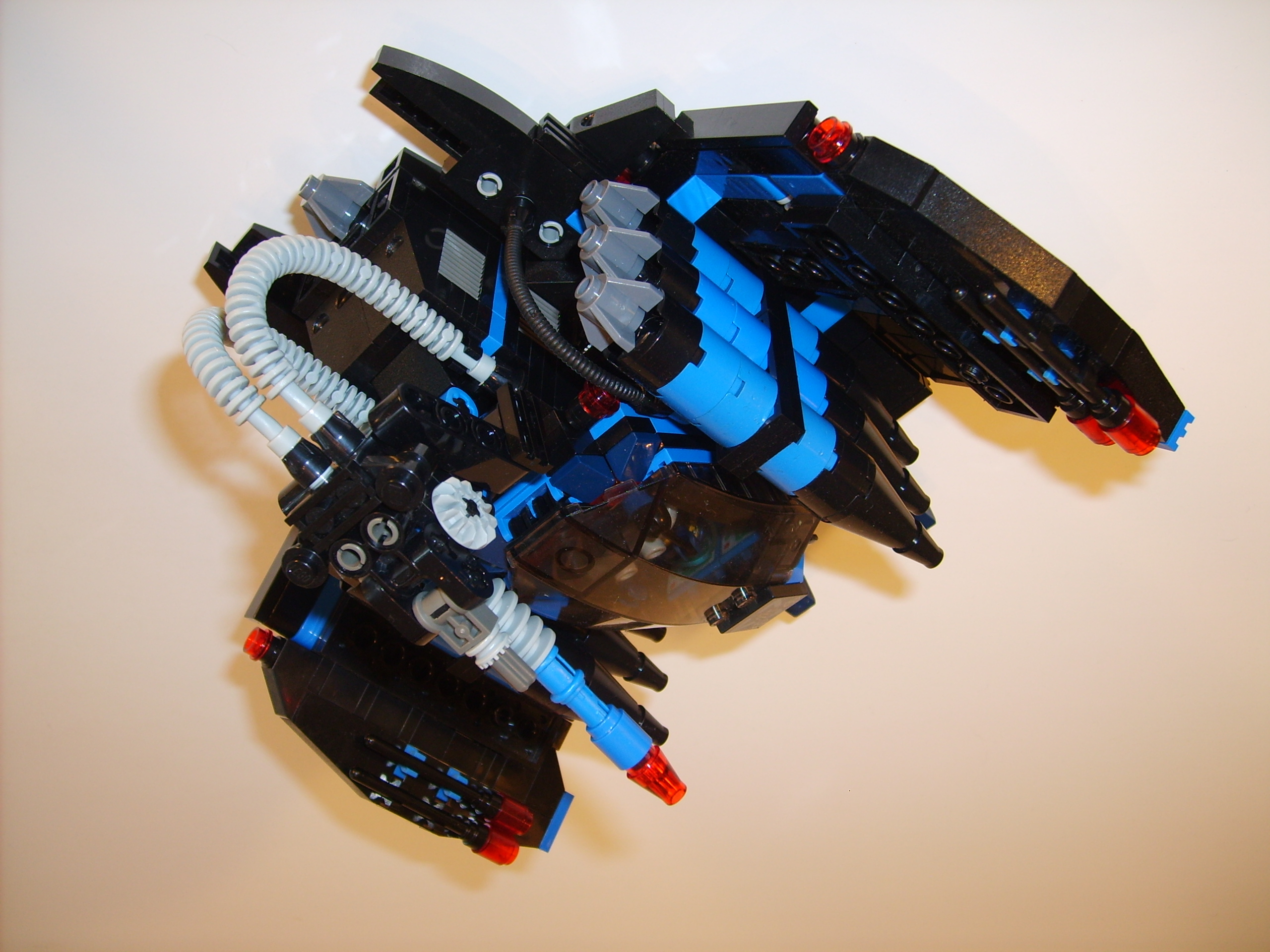 fly03.jpg