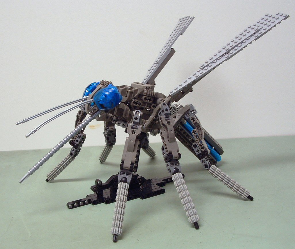 mosquito01.jpg