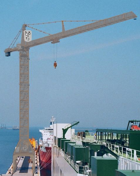 camelbully_the_crane.png