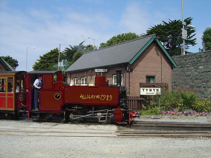 alligator7989.jpg